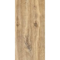 Плитка ГРЕС 60x30 Ноттингем 3